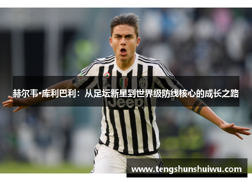 赫尔韦·库利巴利：从足坛新星到世界级防线核心的成长之路