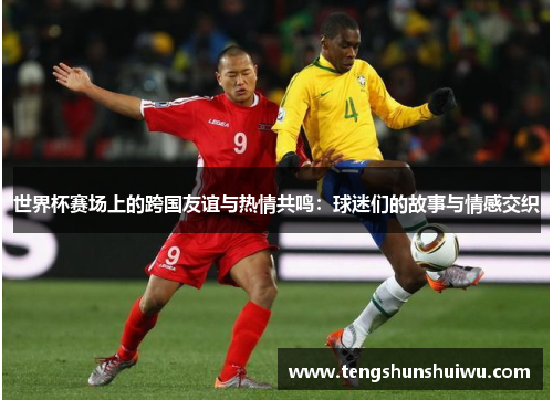世界杯赛场上的跨国友谊与热情共鸣：球迷们的故事与情感交织