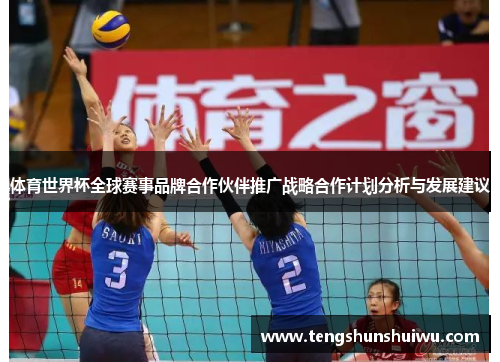 体育世界杯全球赛事品牌合作伙伴推广战略合作计划分析与发展建议