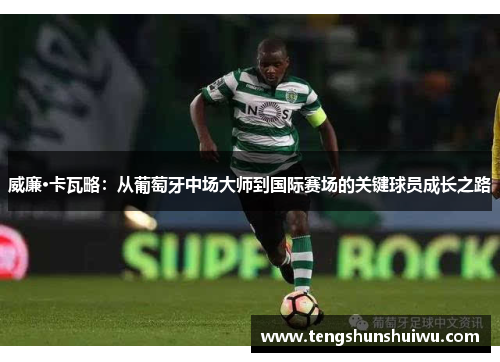威廉·卡瓦略：从葡萄牙中场大师到国际赛场的关键球员成长之路