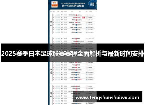 2025赛季日本足球联赛赛程全面解析与最新时间安排