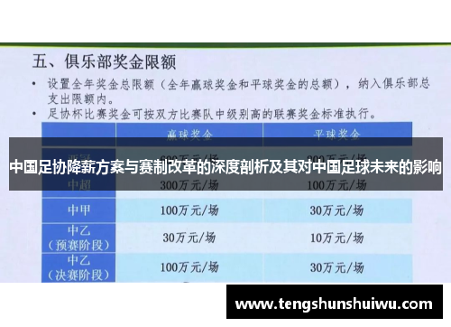 中国足协降薪方案与赛制改革的深度剖析及其对中国足球未来的影响