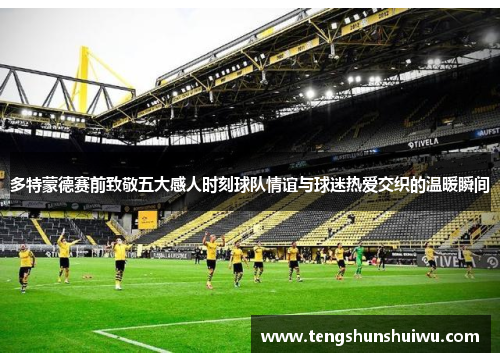 多特蒙德赛前致敬五大感人时刻球队情谊与球迷热爱交织的温暖瞬间