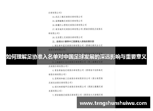 如何理解足协准入名单对中国足球发展的深远影响与重要意义