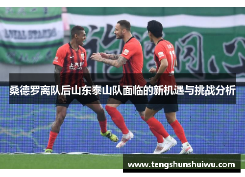桑德罗离队后山东泰山队面临的新机遇与挑战分析 桑德罗离队后山东泰山队面临的新机遇与挑战分析