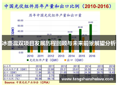 冰壶混双项目发展历程回顾与未来前景展望分析