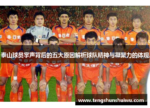 泰山球员掌声背后的五大原因解析球队精神与凝聚力的体现