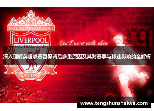 深入理解英超联赛暂停背后多重原因及其对赛季与球迷影响的全解析