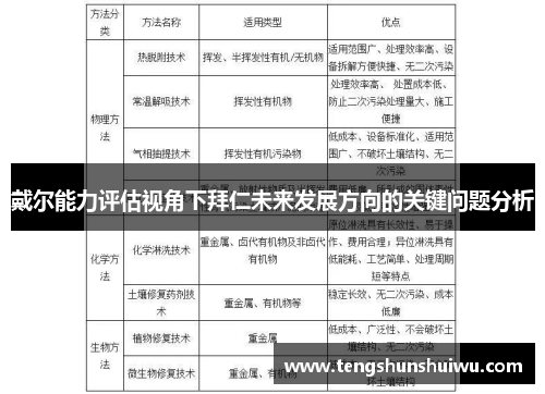 戴尔能力评估视角下拜仁未来发展方向的关键问题分析