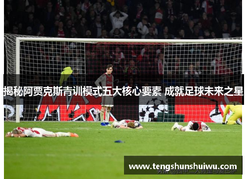 揭秘阿贾克斯青训模式五大核心要素 成就足球未来之星